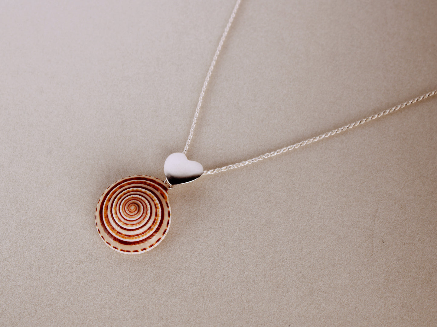A sterling silver heart-shaped pendant with a red and white striped architectonica perspectiva sea shell attached to a double rope chain.