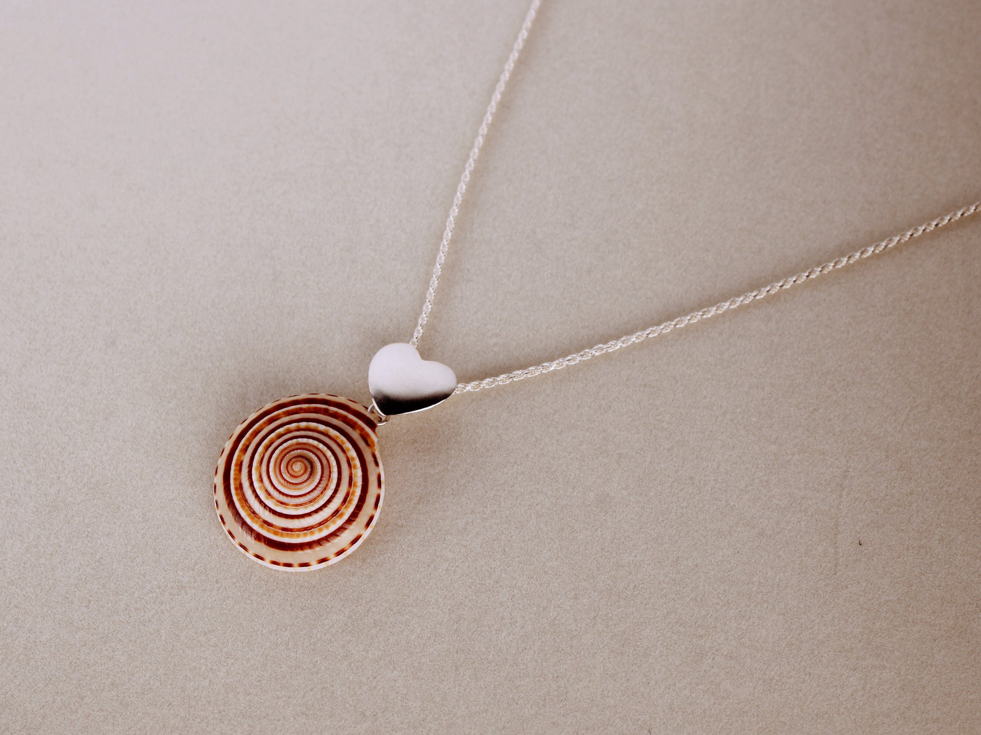 A sterling silver heart-shaped pendant with a red and white striped architectonica perspectiva sea shell attached to a double rope chain.